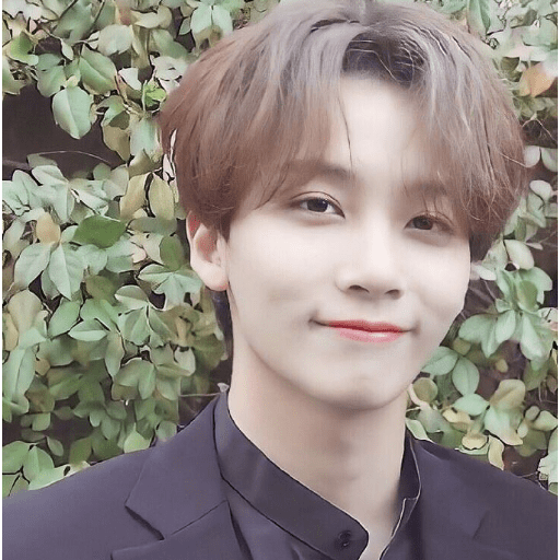 Just jeonghan 29
