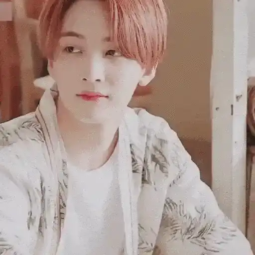 Just Jeonghan Gif 28