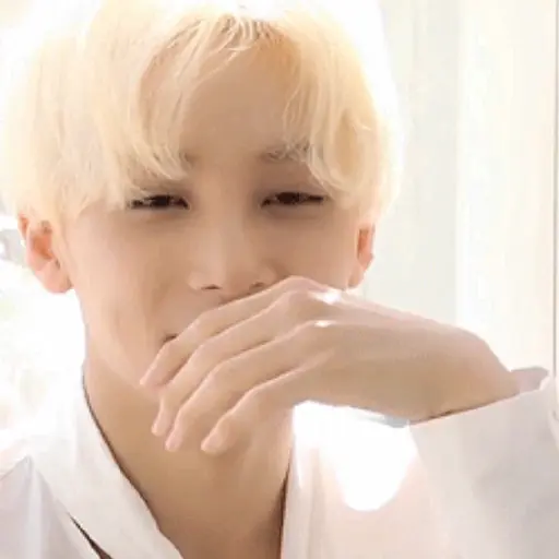 Just Jeonghan Gif 27