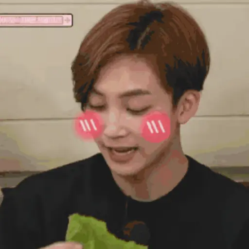 Just Jeonghan Gif 30