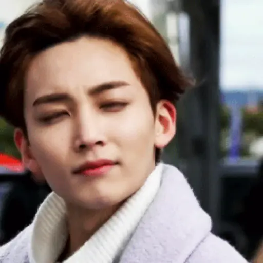 Just Jeonghan Gif 16