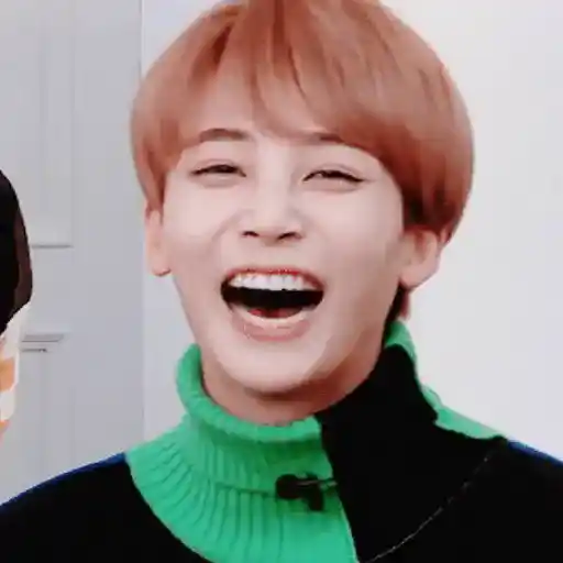 Just Jeonghan Gif 24