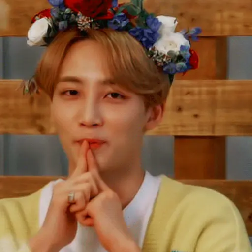 Just Jeonghan Gif 18