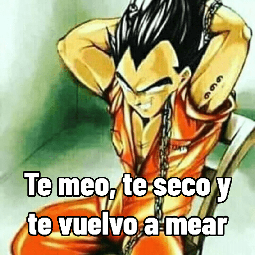 Frases flaites de Goku Supreme 19