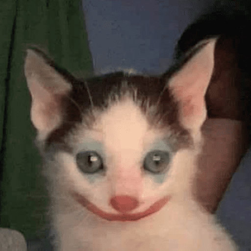 Gatinhos6 9
