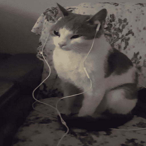Gatinhos6 14