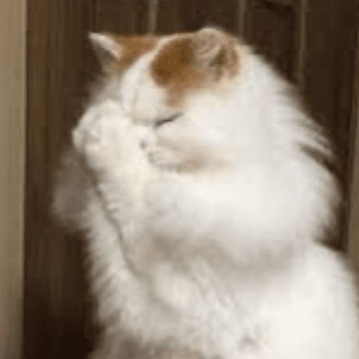 Gatinhos6 26