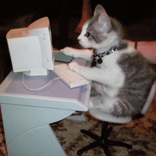 Gatinhos6 3