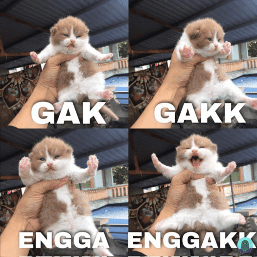 Llalala 7