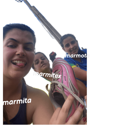 Minhas figurinhas 6
