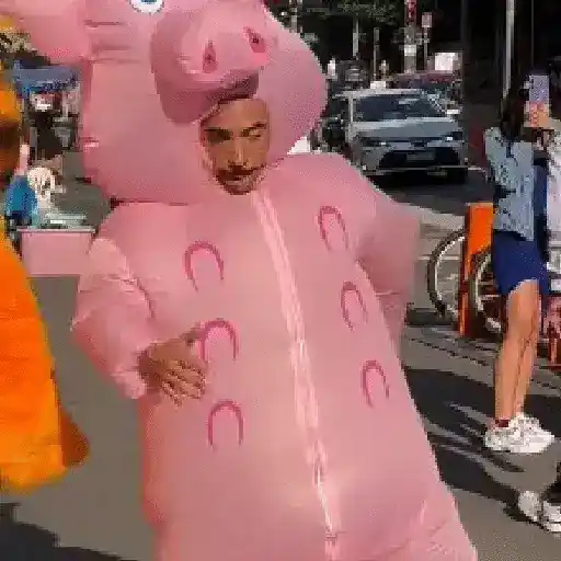 Porquinho da Paulista 🐽
