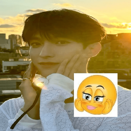 𑂘🐈‍⬛   ׅ  Seventeen ׄ   ς݁ς 5