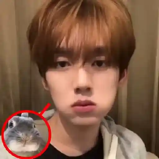 𑂘🐈‍⬛   ׅ 𝐘꯭𝐔𝐉𝐈𝐍໋ ׄ   ς݁ς