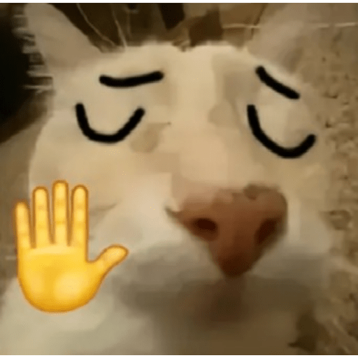 Momazos 25