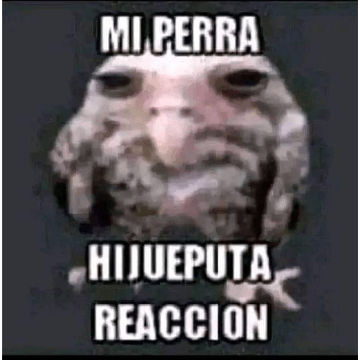 Momazos 18