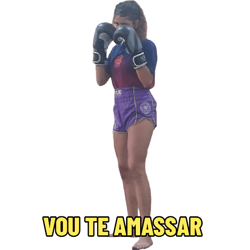 Minhas figurinhas 18