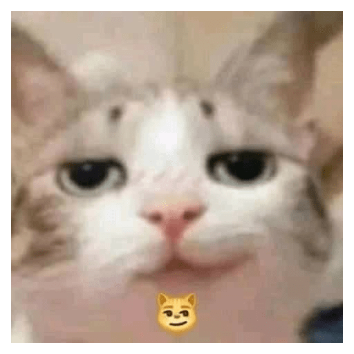 Brrrrbrrrrr 7