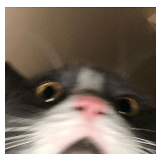 Brrrrbrrrrr 5
