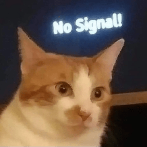 Cats 28