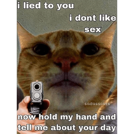 Cats 3