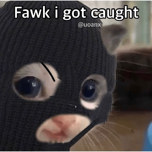 Cats 15