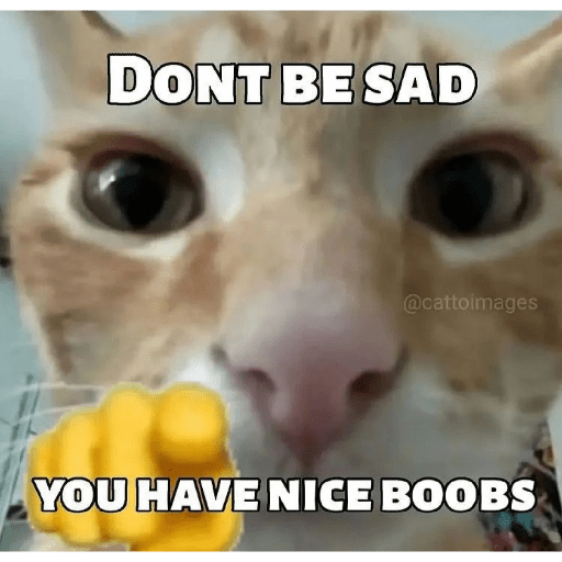 Cats 16