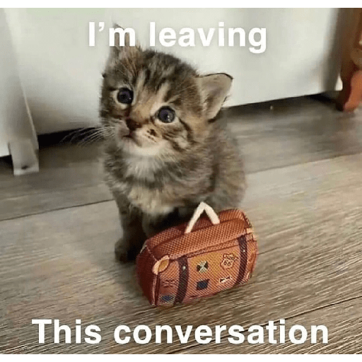Cats 23