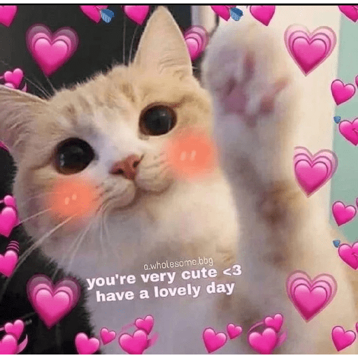 Cats 4