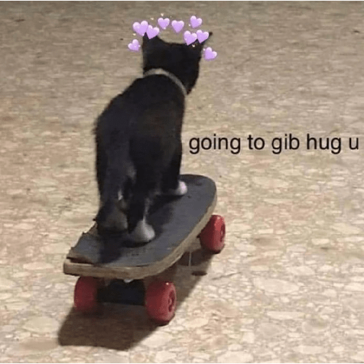 Cats 27