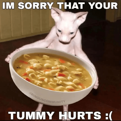 Cats 10