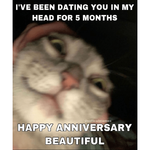 Cats 11