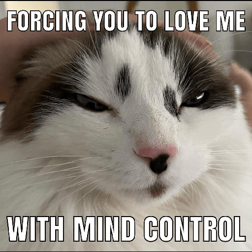Cats 19