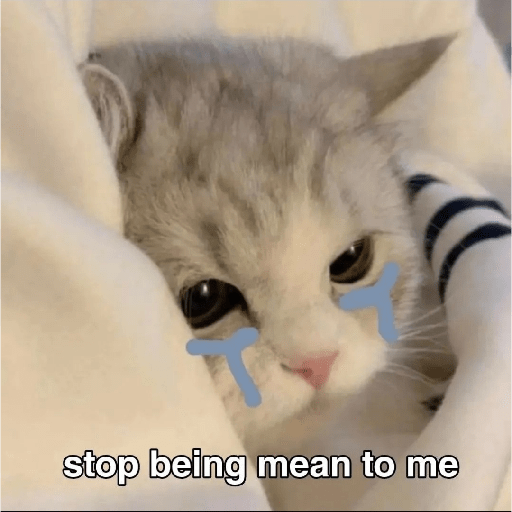 Cats 18