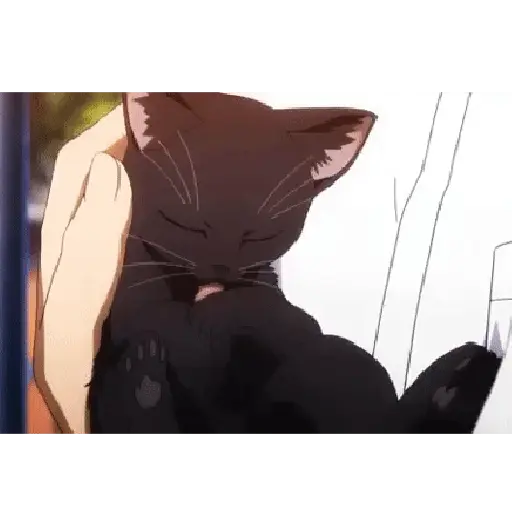 Gatos 2