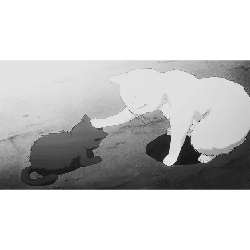 Gatos 3