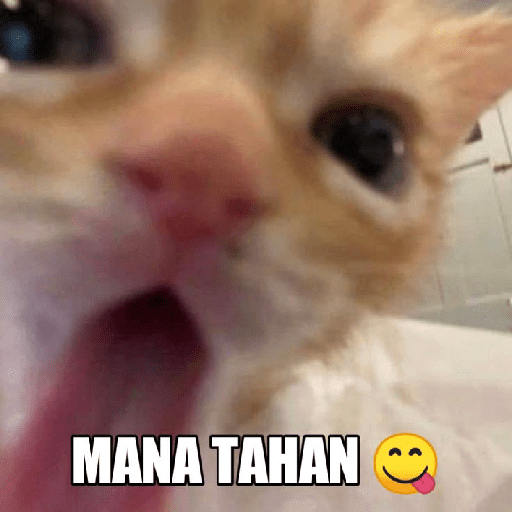 Pantek 25