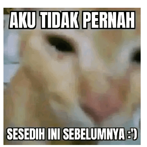Pantek 27