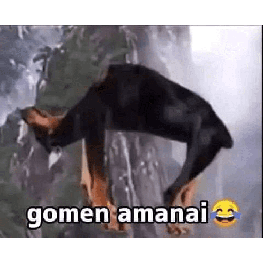 Pantek 4