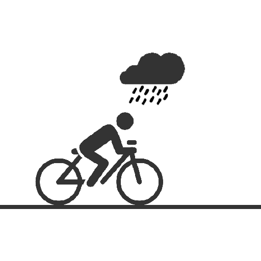 Bicicleta  12