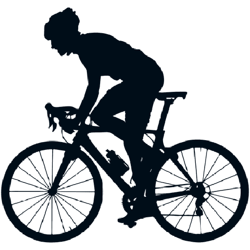 Bicicleta  10