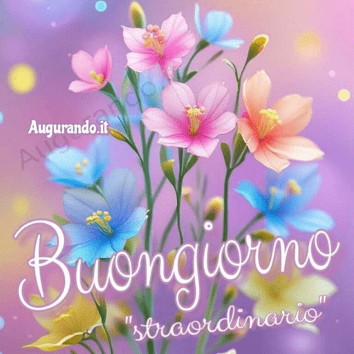 I miei adesivi 17