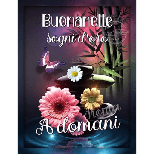 I miei adesivi 30