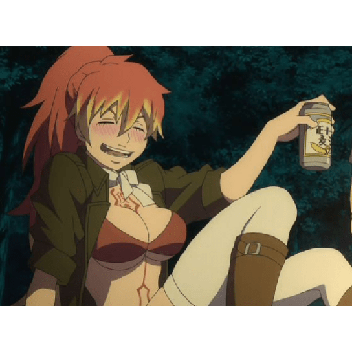 Ao no exorcist 13