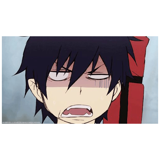 Ao no exorcist 11