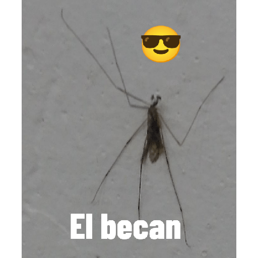 Memes 1