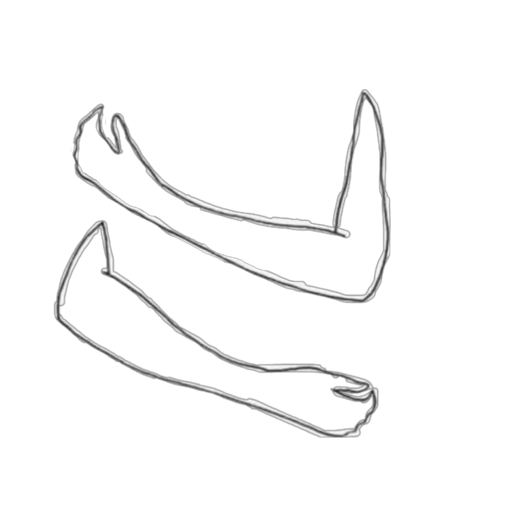 Alaordenjefen 22