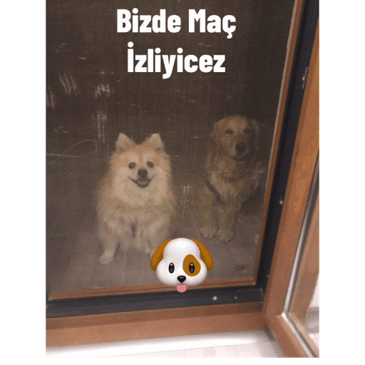 Çıkartmalarım 8