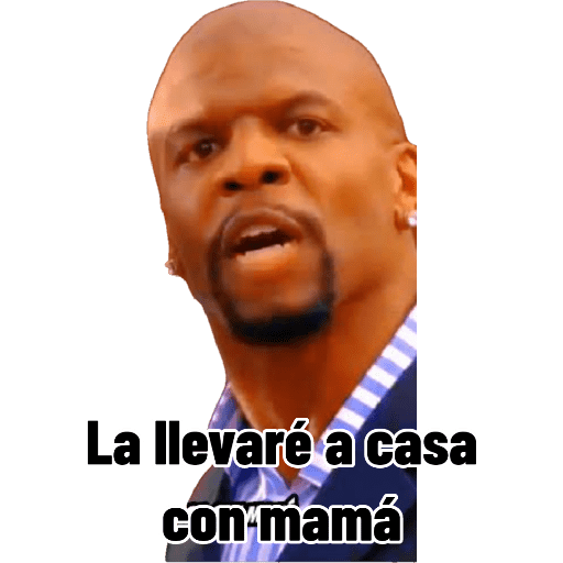 XDxD 15