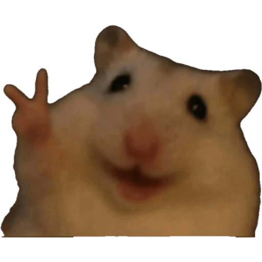 XDxD 20
