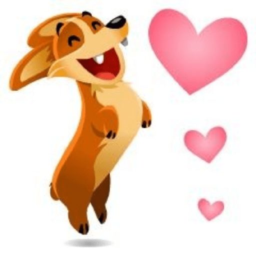 Perro pelon 17